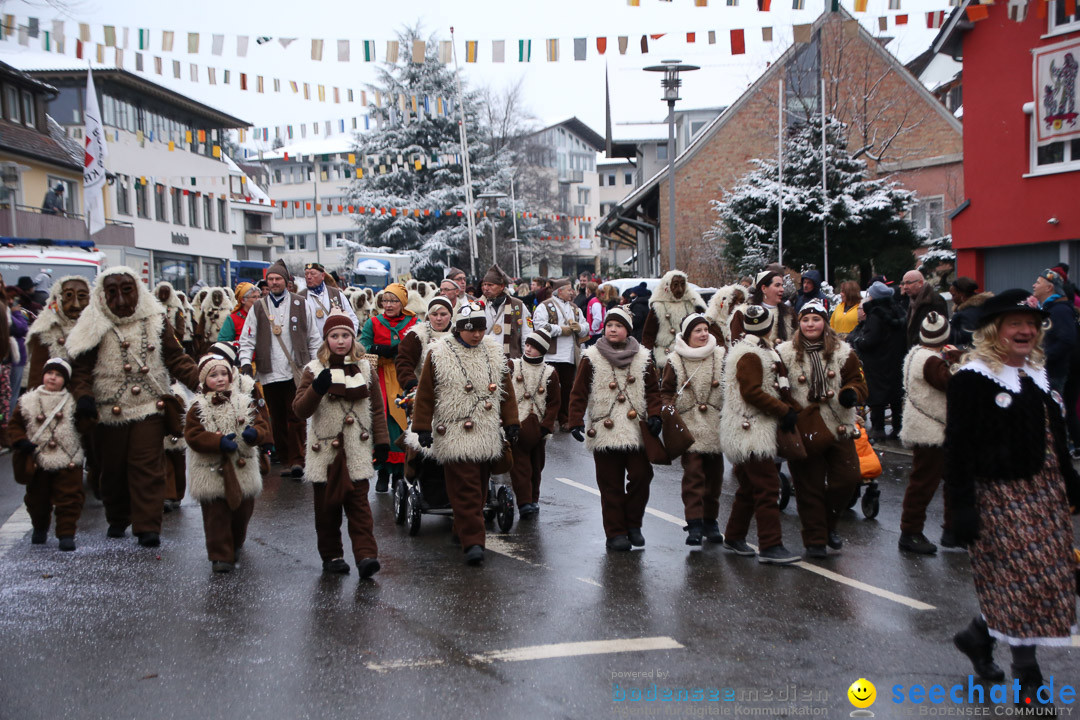 Fasnetsumzug - Fasching: Markdorf am Bodensee, 16.01.2016