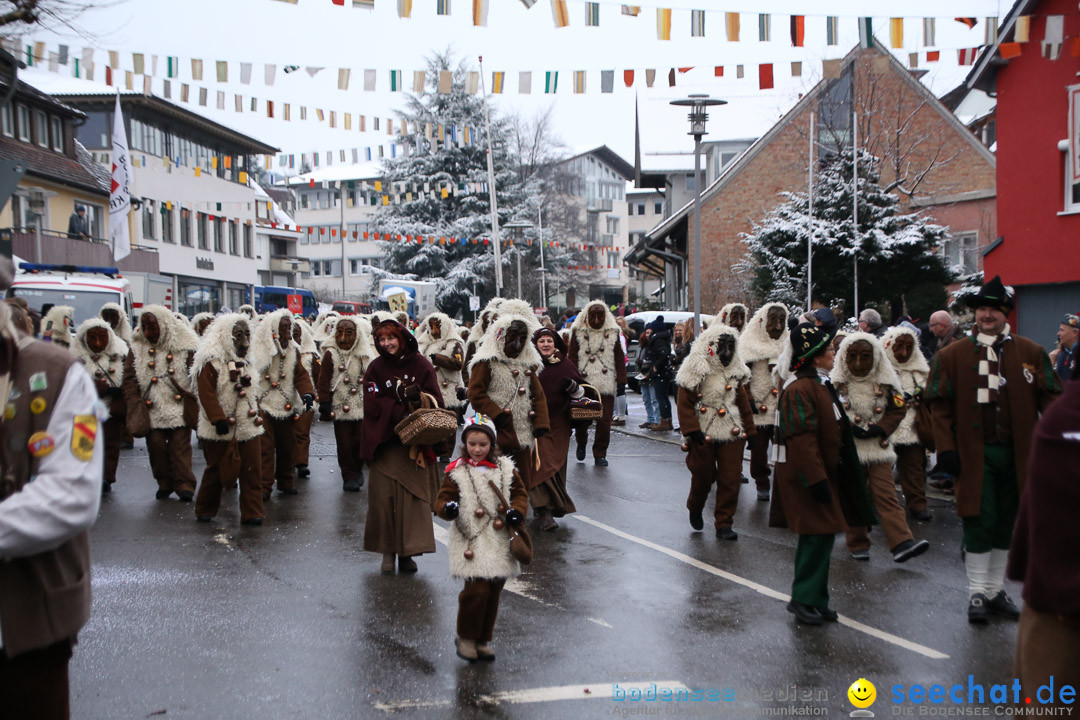 Fasnetsumzug - Fasching: Markdorf am Bodensee, 16.01.2016