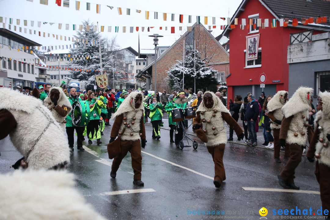 Fasnetsumzug - Fasching: Markdorf am Bodensee, 16.01.2016