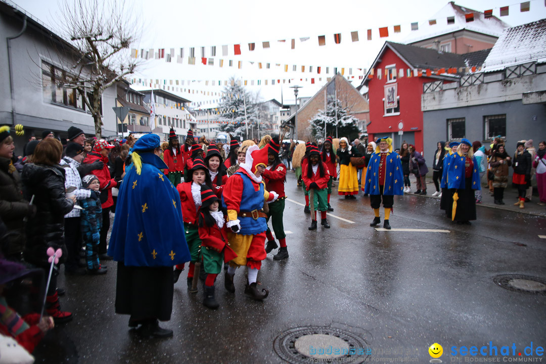 Fasnetsumzug - Fasching: Markdorf am Bodensee, 16.01.2016