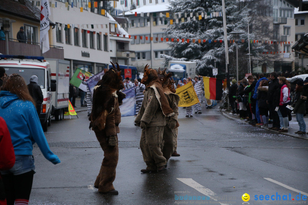 Fasnetsumzug - Fasching: Markdorf am Bodensee, 16.01.2016