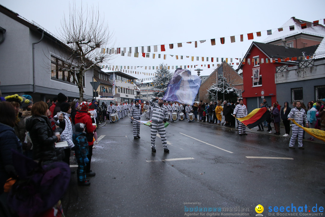 Fasnetsumzug - Fasching: Markdorf am Bodensee, 16.01.2016