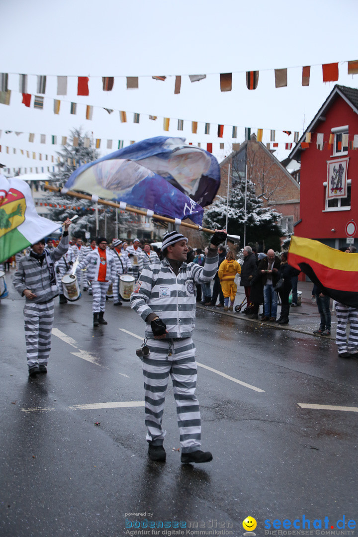 Fasnetsumzug - Fasching: Markdorf am Bodensee, 16.01.2016