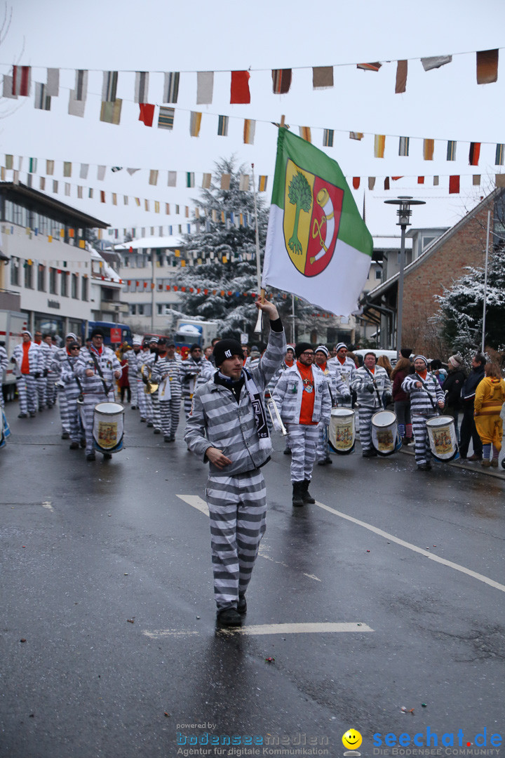 Fasnetsumzug - Fasching: Markdorf am Bodensee, 16.01.2016