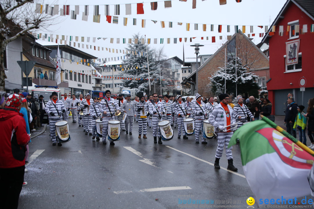 Fasnetsumzug - Fasching: Markdorf am Bodensee, 16.01.2016