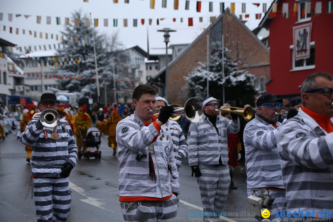 Fasnetsumzug - Fasching: Markdorf am Bodensee, 16.01.2016