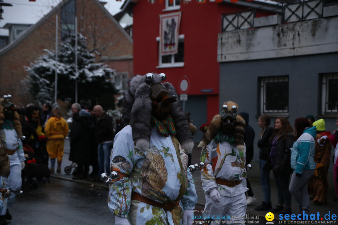 Fasnetsumzug - Fasching: Markdorf am Bodensee, 16.01.2016