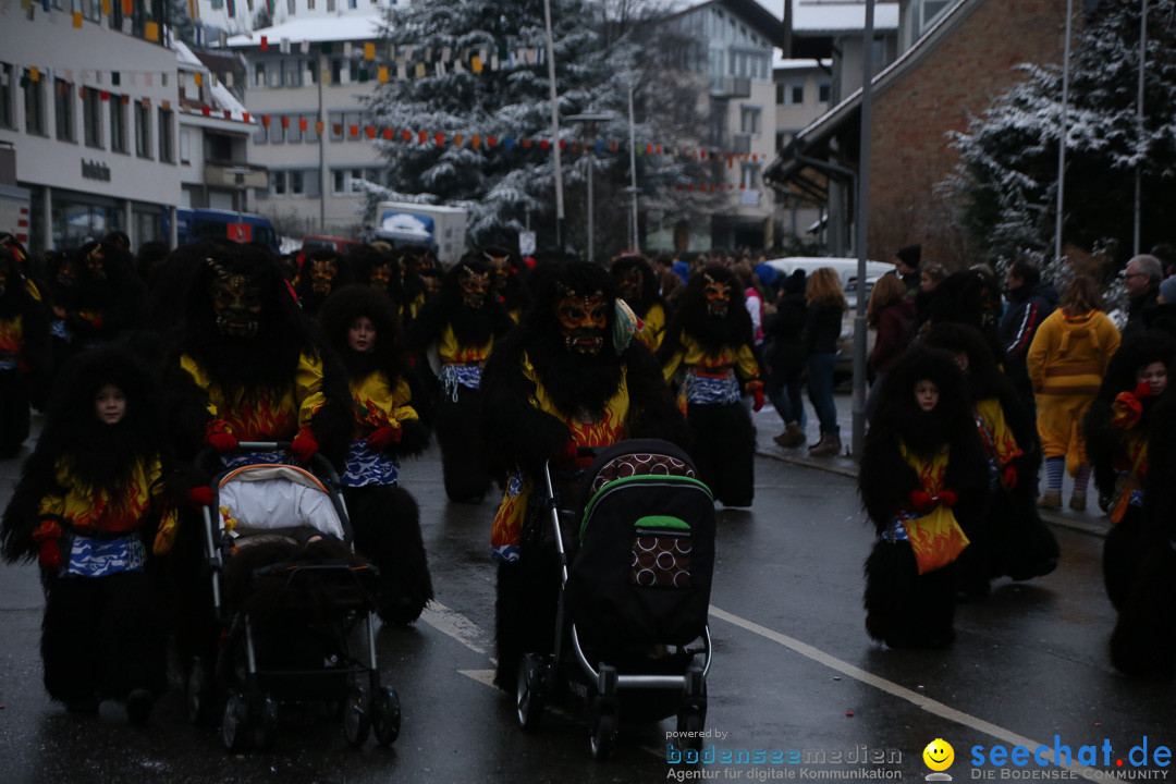 Fasnetsumzug - Fasching: Markdorf am Bodensee, 16.01.2016