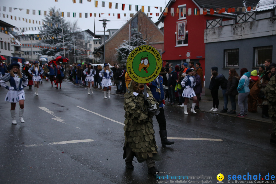 Fasnetsumzug - Fasching: Markdorf am Bodensee, 16.01.2016