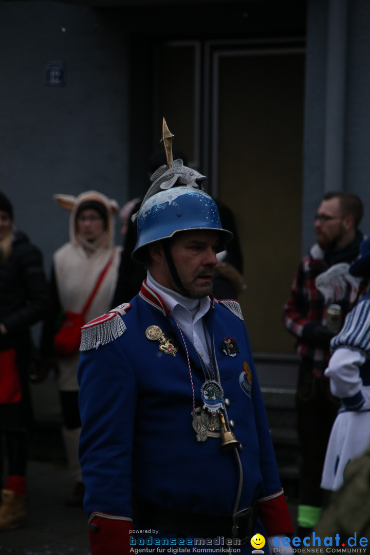 Fasnetsumzug - Fasching: Markdorf am Bodensee, 16.01.2016