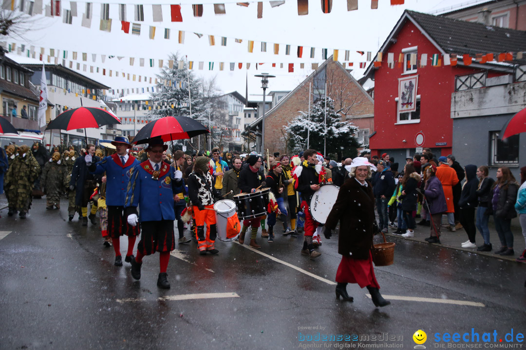 Fasnetsumzug - Fasching: Markdorf am Bodensee, 16.01.2016