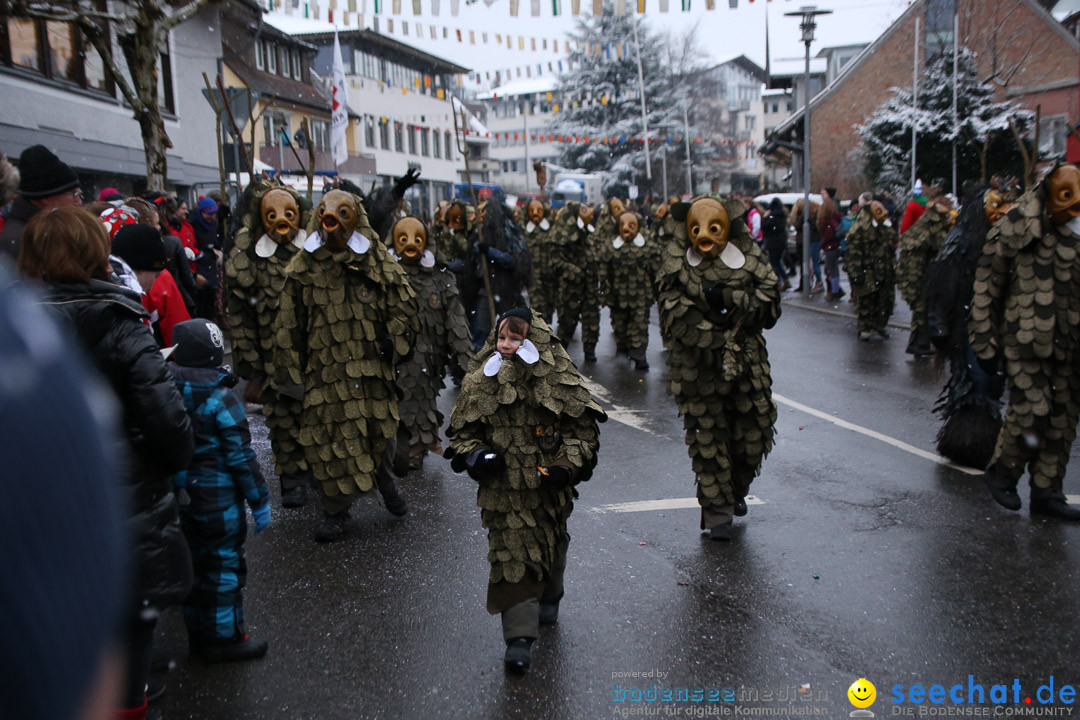 Fasnetsumzug - Fasching: Markdorf am Bodensee, 16.01.2016