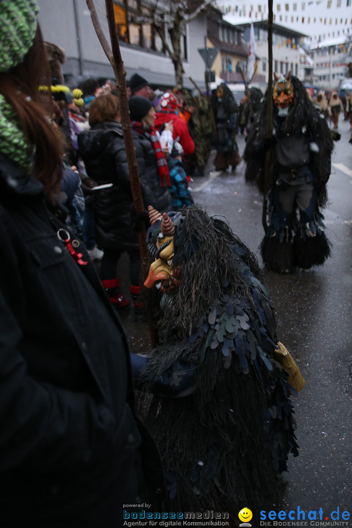 Fasnetsumzug - Fasching: Markdorf am Bodensee, 16.01.2016