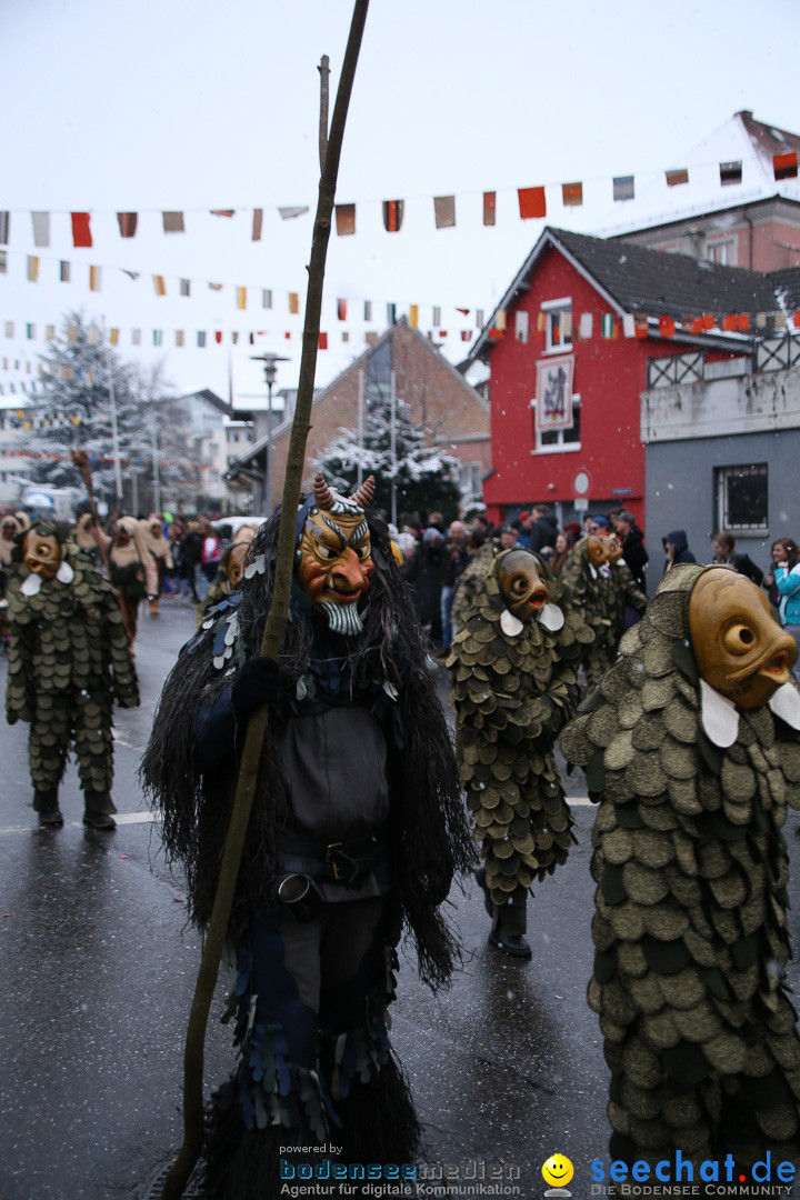 Fasnetsumzug - Fasching: Markdorf am Bodensee, 16.01.2016