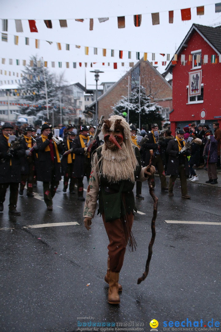 Fasnetsumzug - Fasching: Markdorf am Bodensee, 16.01.2016