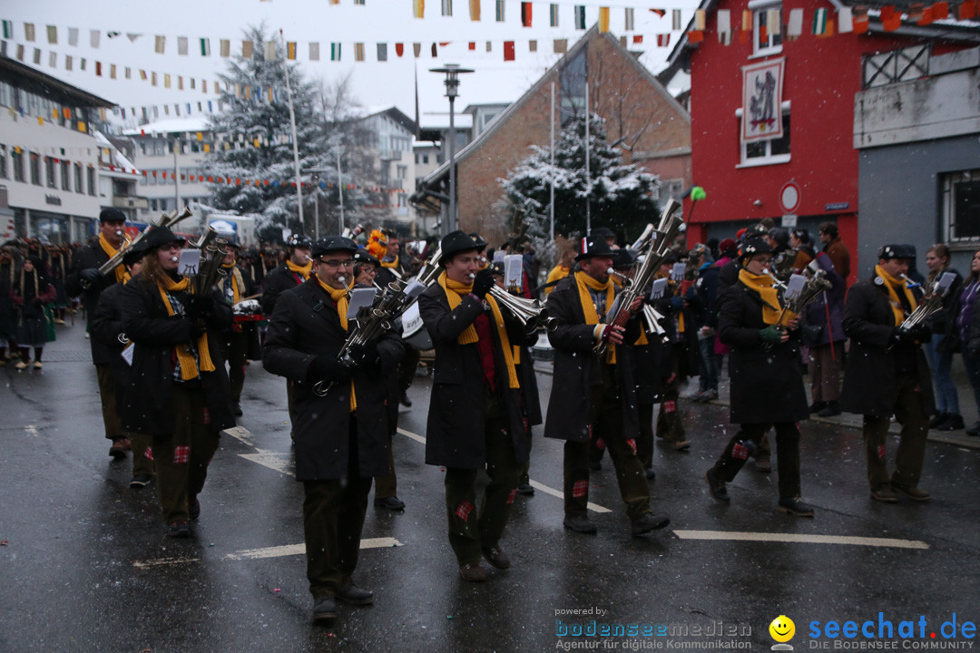 Fasnetsumzug - Fasching: Markdorf am Bodensee, 16.01.2016