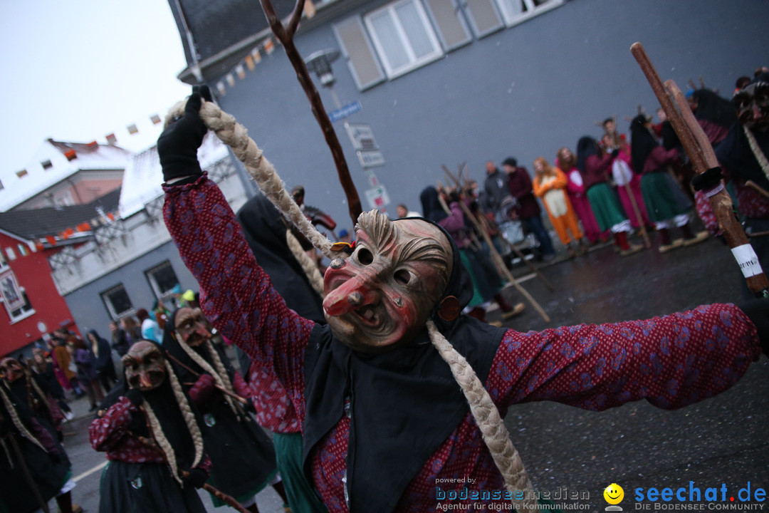 Fasnetsumzug - Fasching: Markdorf am Bodensee, 16.01.2016