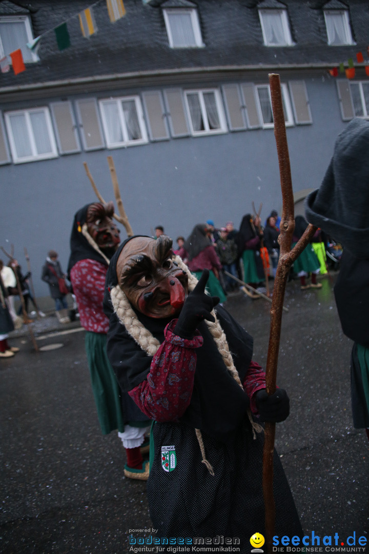 Fasnetsumzug - Fasching: Markdorf am Bodensee, 16.01.2016