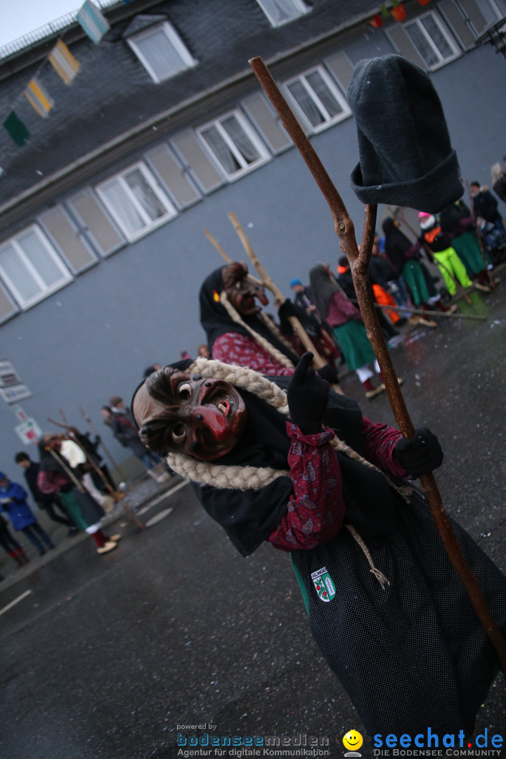 Fasnetsumzug - Fasching: Markdorf am Bodensee, 16.01.2016