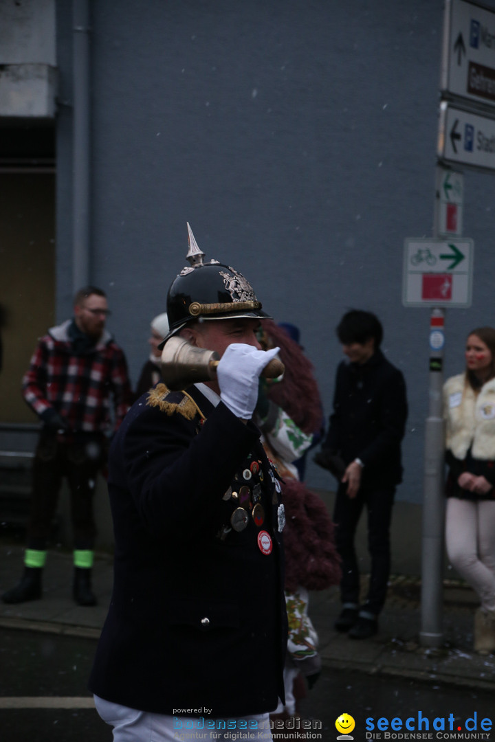 Fasnetsumzug - Fasching: Markdorf am Bodensee, 16.01.2016