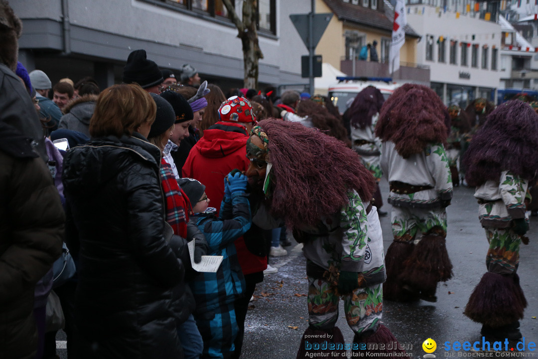 Fasnetsumzug - Fasching: Markdorf am Bodensee, 16.01.2016