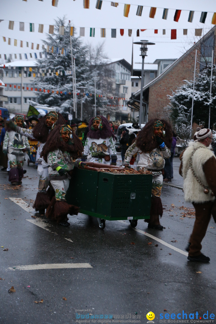 Fasnetsumzug - Fasching: Markdorf am Bodensee, 16.01.2016