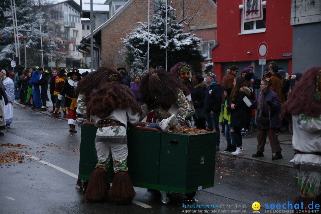 Fasnetsumzug - Fasching: Markdorf am Bodensee, 16.01.2016