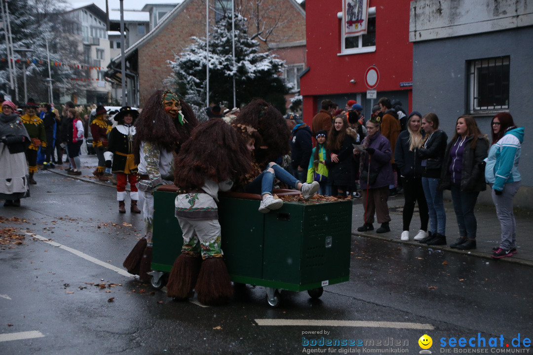 Fasnetsumzug - Fasching: Markdorf am Bodensee, 16.01.2016