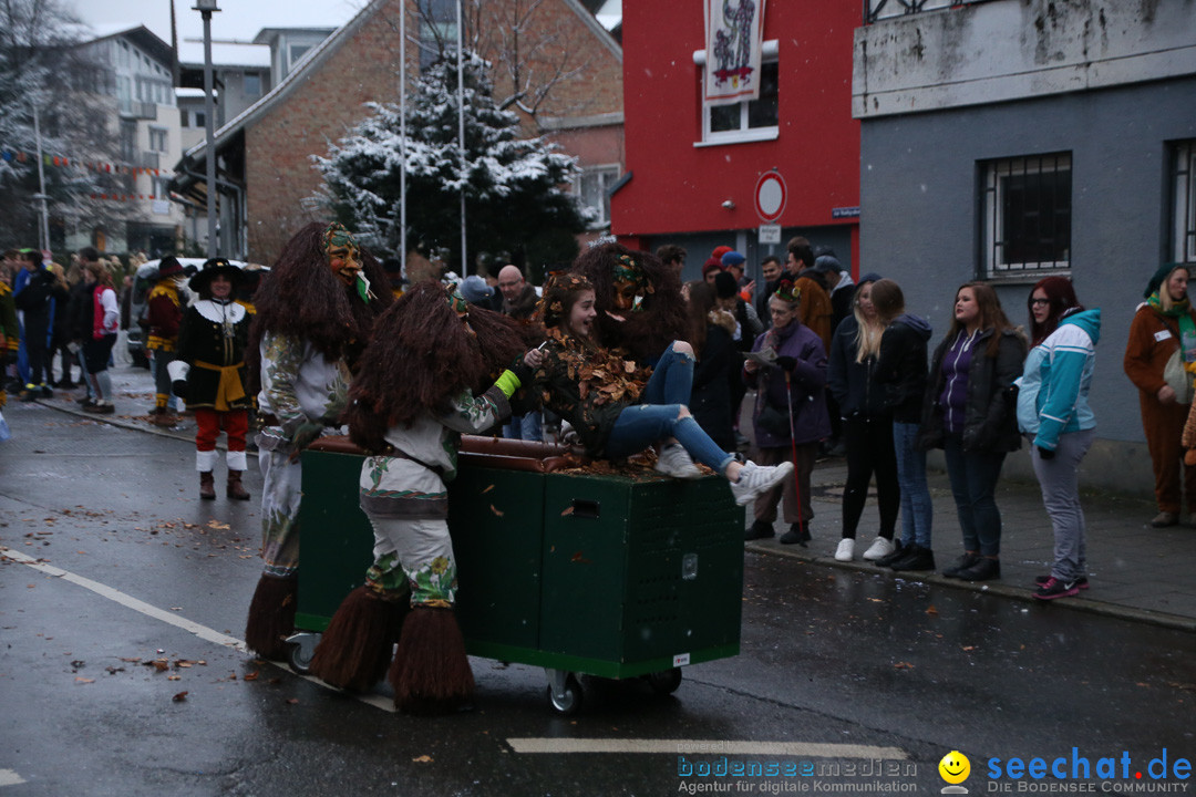 Fasnetsumzug - Fasching: Markdorf am Bodensee, 16.01.2016