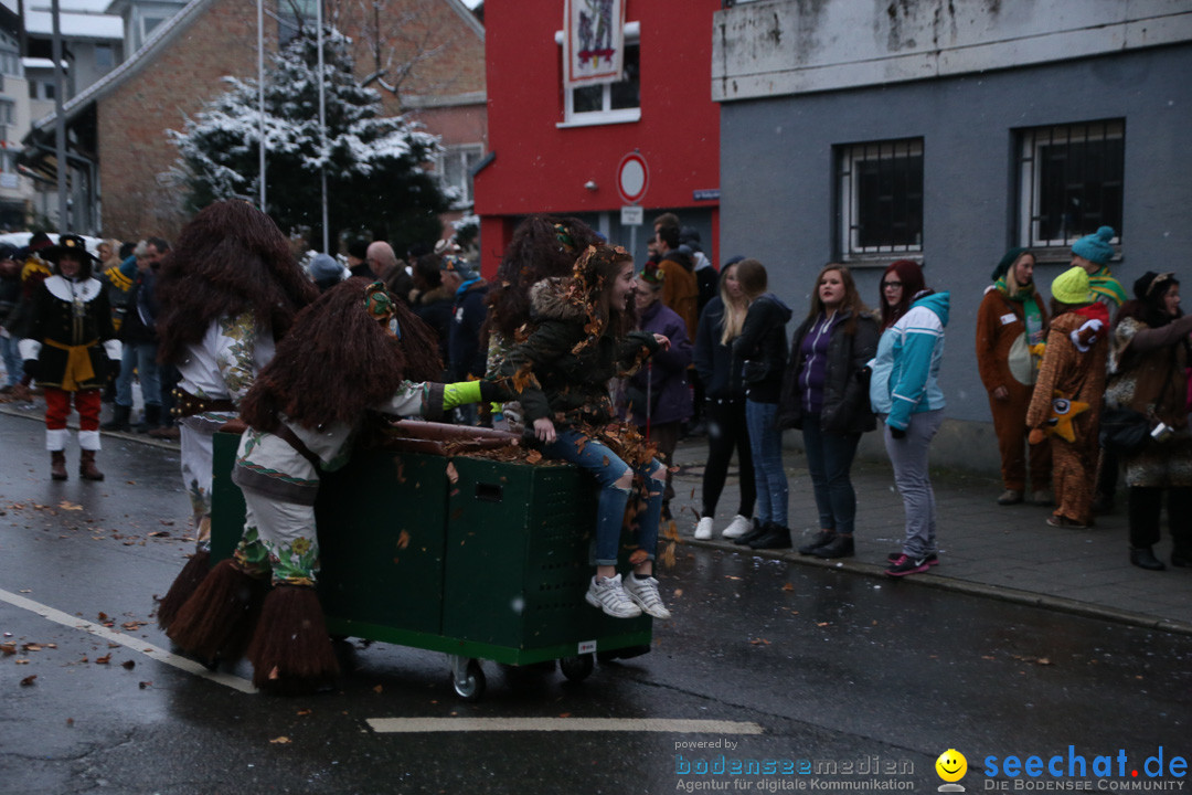 Fasnetsumzug - Fasching: Markdorf am Bodensee, 16.01.2016