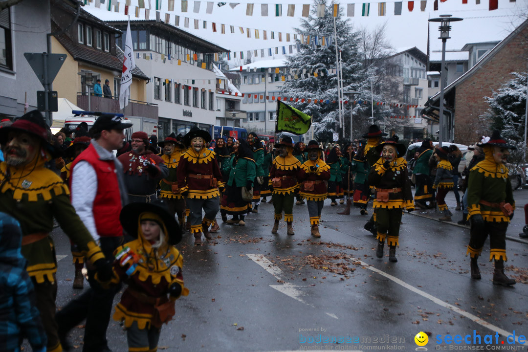 Fasnetsumzug - Fasching: Markdorf am Bodensee, 16.01.2016