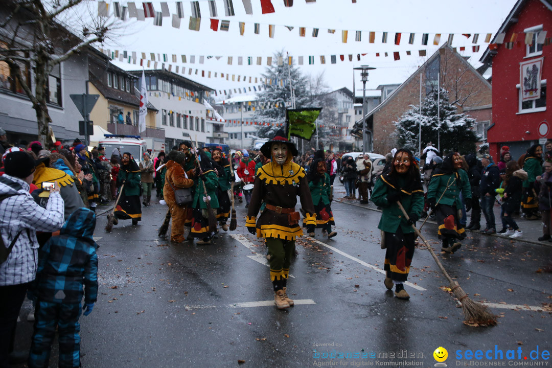 Fasnetsumzug - Fasching: Markdorf am Bodensee, 16.01.2016