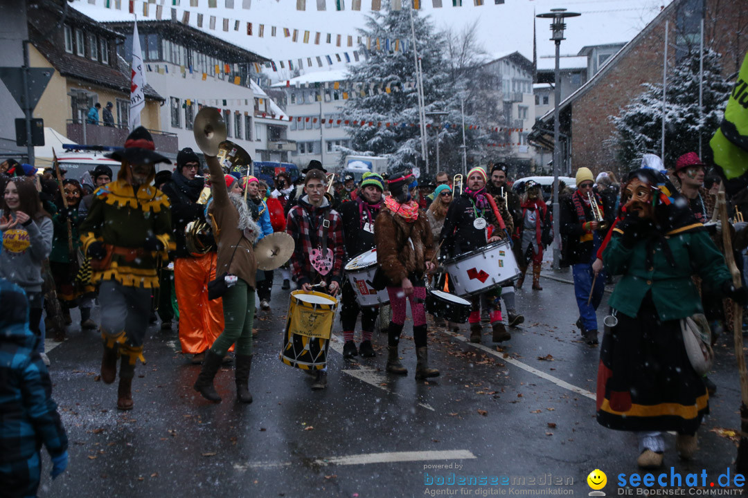 Fasnetsumzug - Fasching: Markdorf am Bodensee, 16.01.2016