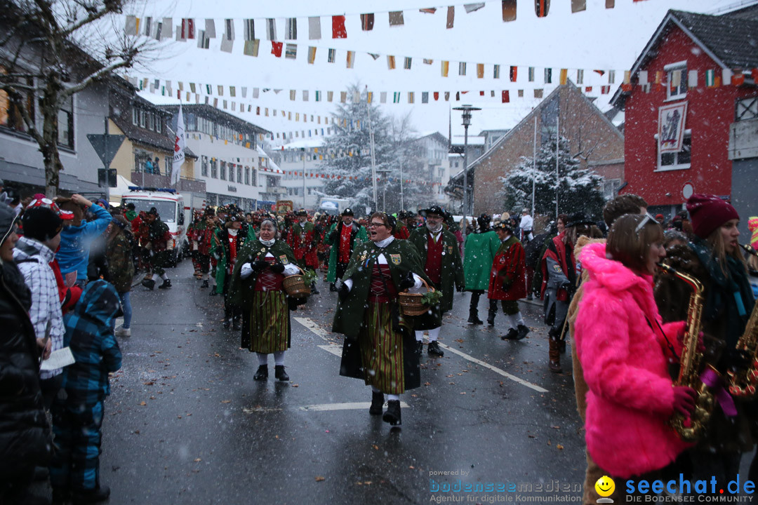 Fasnetsumzug - Fasching: Markdorf am Bodensee, 16.01.2016