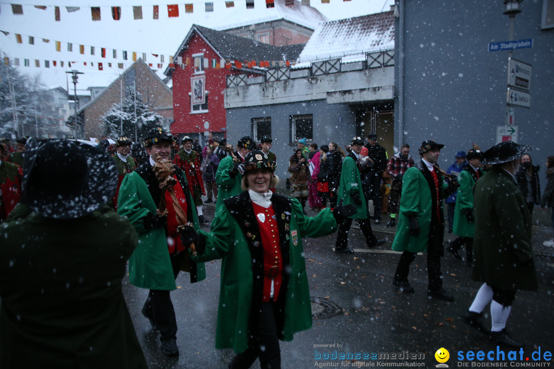 Fasnetsumzug - Fasching: Markdorf am Bodensee, 16.01.2016