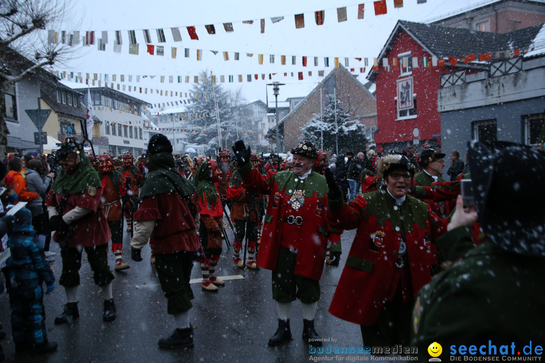 Fasnetsumzug - Fasching: Markdorf am Bodensee, 16.01.2016