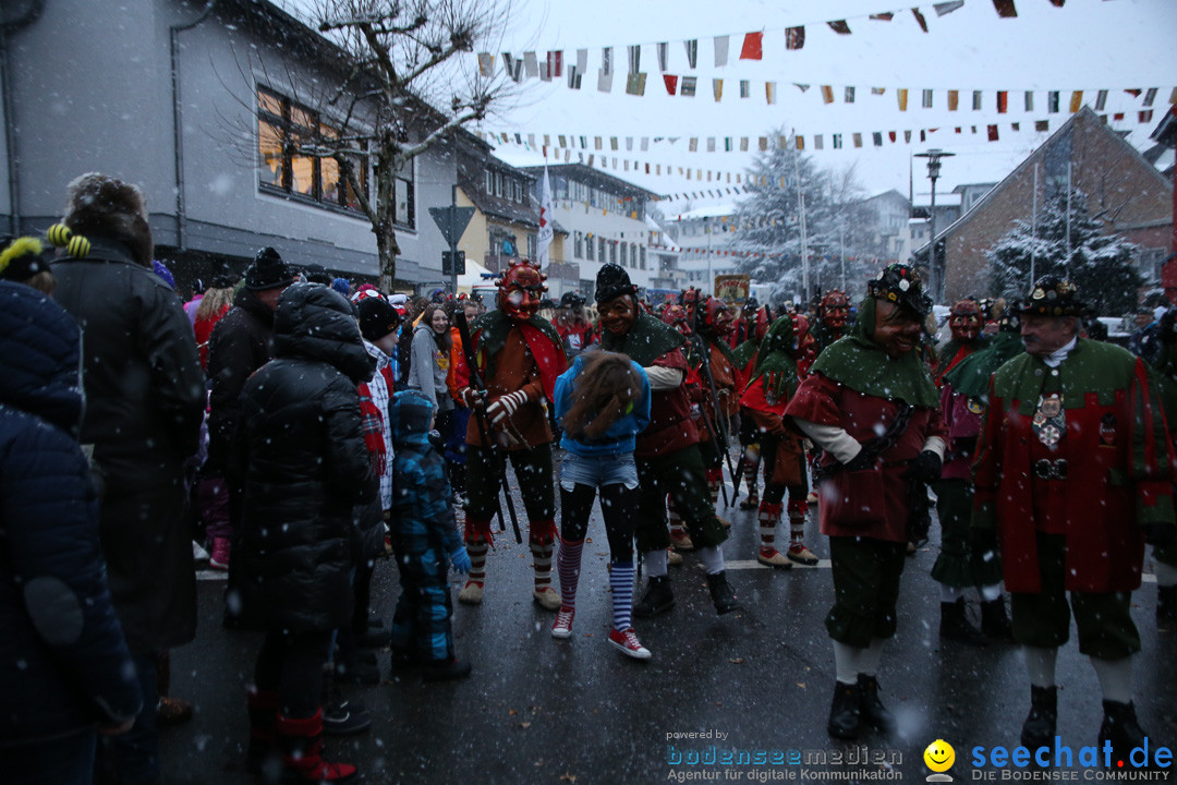 Fasnetsumzug - Fasching: Markdorf am Bodensee, 16.01.2016