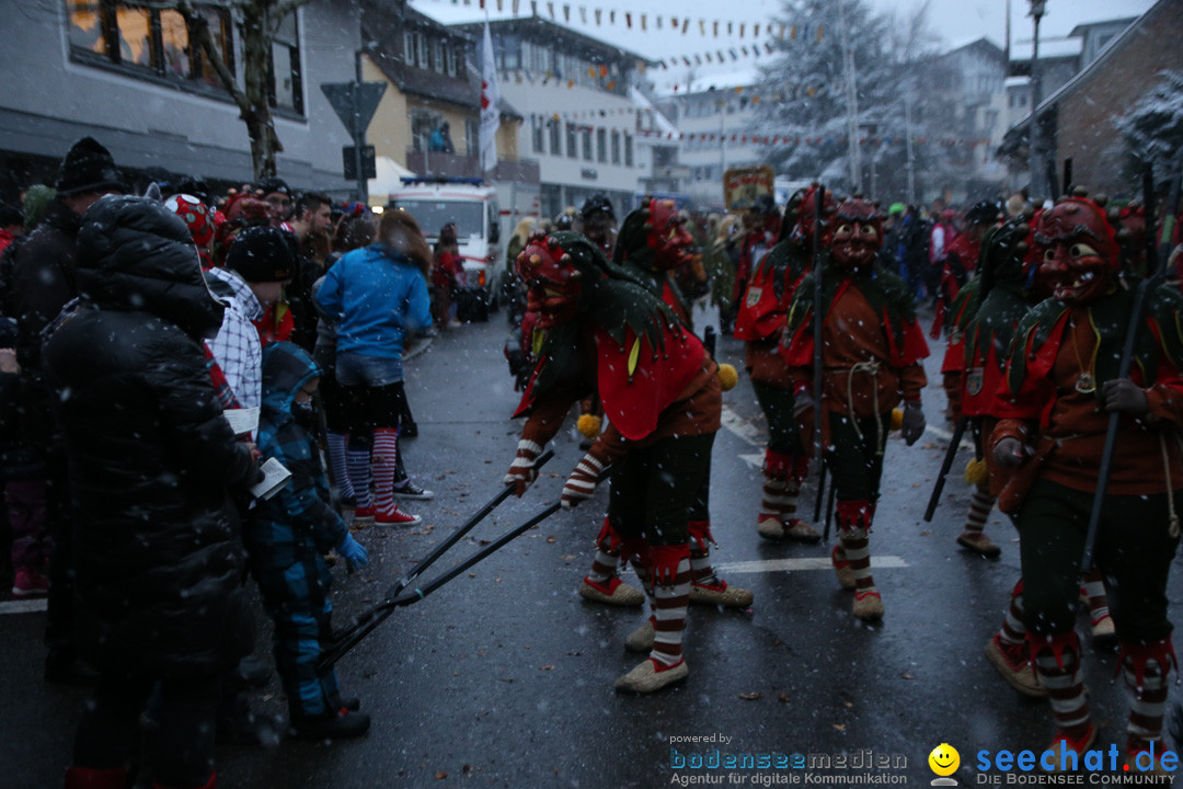 Fasnetsumzug - Fasching: Markdorf am Bodensee, 16.01.2016