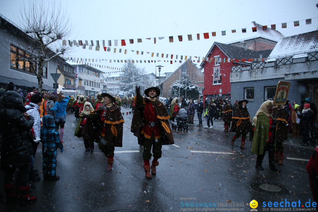 Fasnetsumzug - Fasching: Markdorf am Bodensee, 16.01.2016