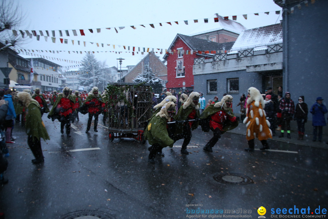 Fasnetsumzug - Fasching: Markdorf am Bodensee, 16.01.2016