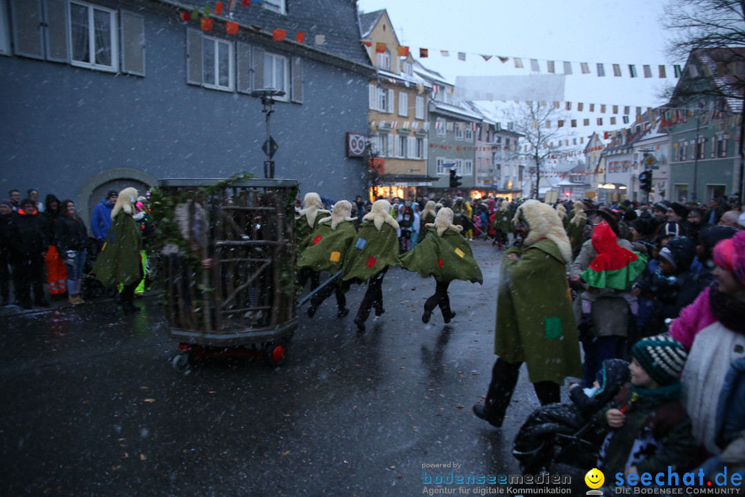 Fasnetsumzug - Fasching: Markdorf am Bodensee, 16.01.2016