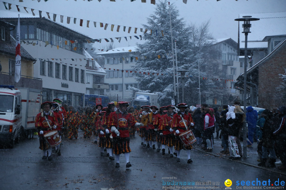 Fasnetsumzug - Fasching: Markdorf am Bodensee, 16.01.2016