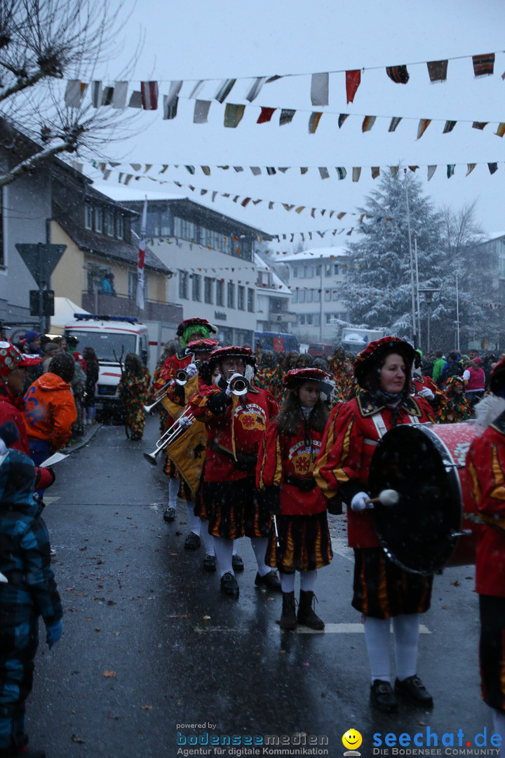 Fasnetsumzug - Fasching: Markdorf am Bodensee, 16.01.2016