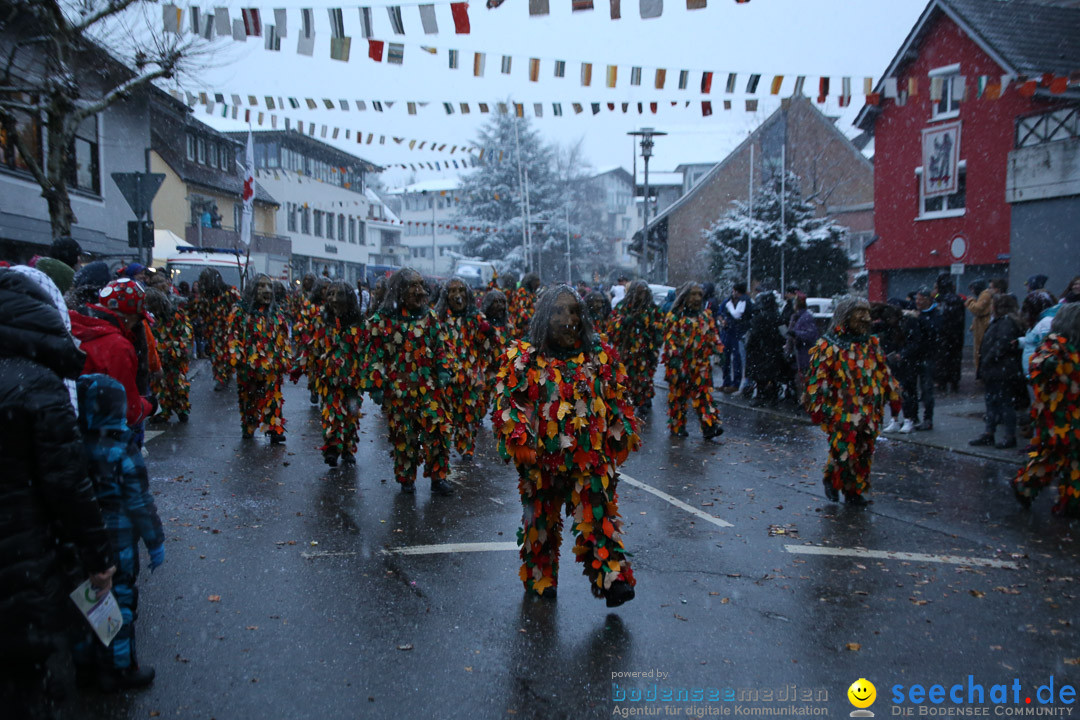 Fasnetsumzug - Fasching: Markdorf am Bodensee, 16.01.2016