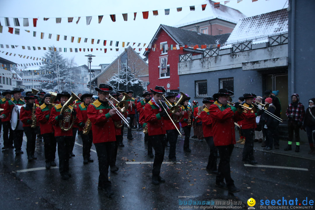 Fasnetsumzug - Fasching: Markdorf am Bodensee, 16.01.2016