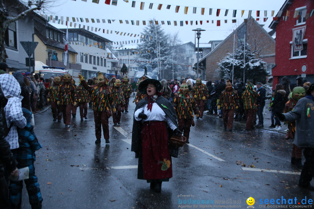 Fasnetsumzug - Fasching: Markdorf am Bodensee, 16.01.2016