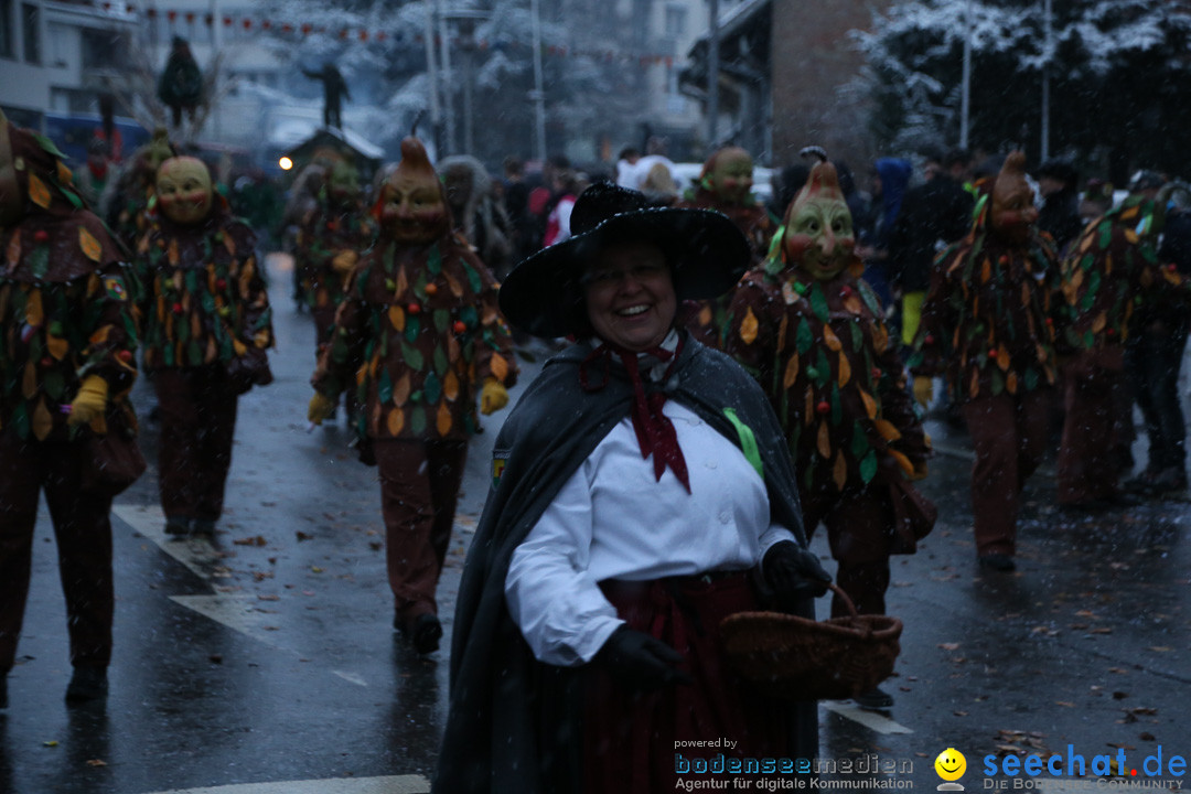 Fasnetsumzug - Fasching: Markdorf am Bodensee, 16.01.2016