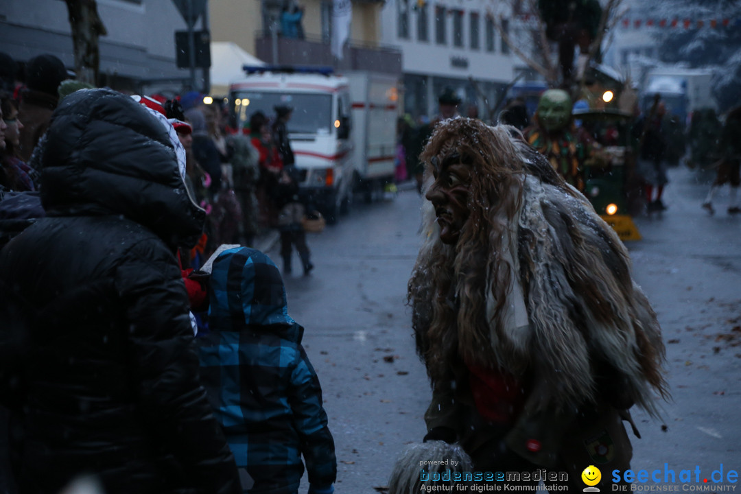 Fasnetsumzug - Fasching: Markdorf am Bodensee, 16.01.2016