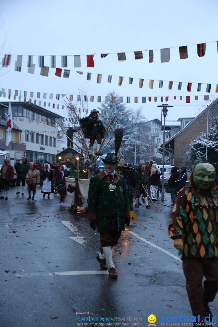 Fasnetsumzug - Fasching: Markdorf am Bodensee, 16.01.2016