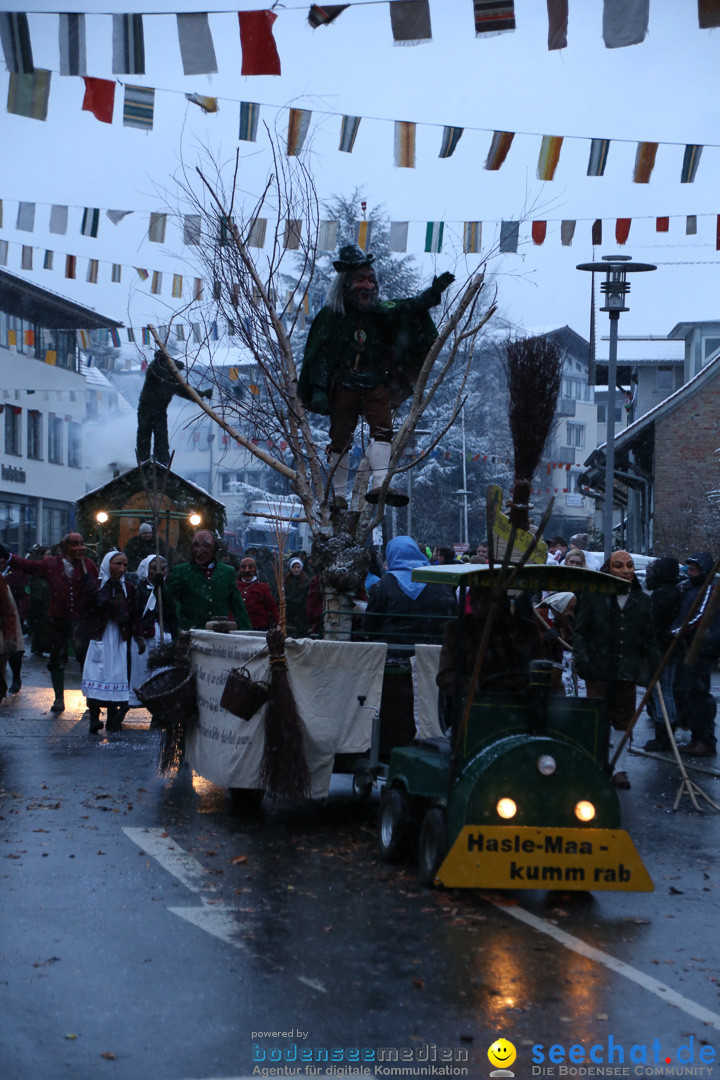 Fasnetsumzug - Fasching: Markdorf am Bodensee, 16.01.2016